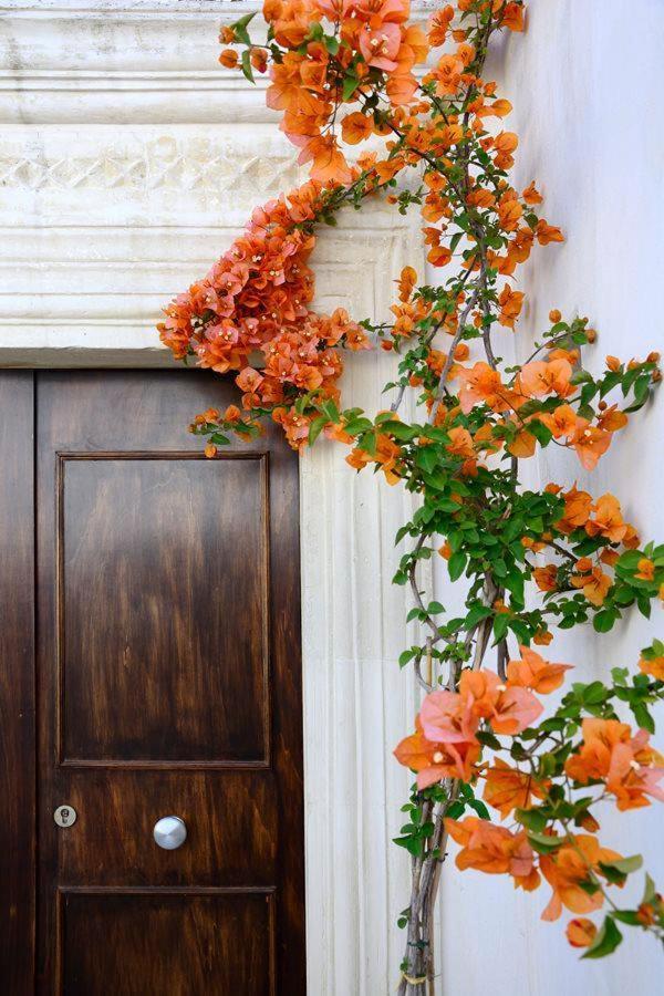 Il Giardino Bed & Breakfast กร็อตตาเย ภายนอก รูปภาพ